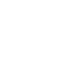 logo white