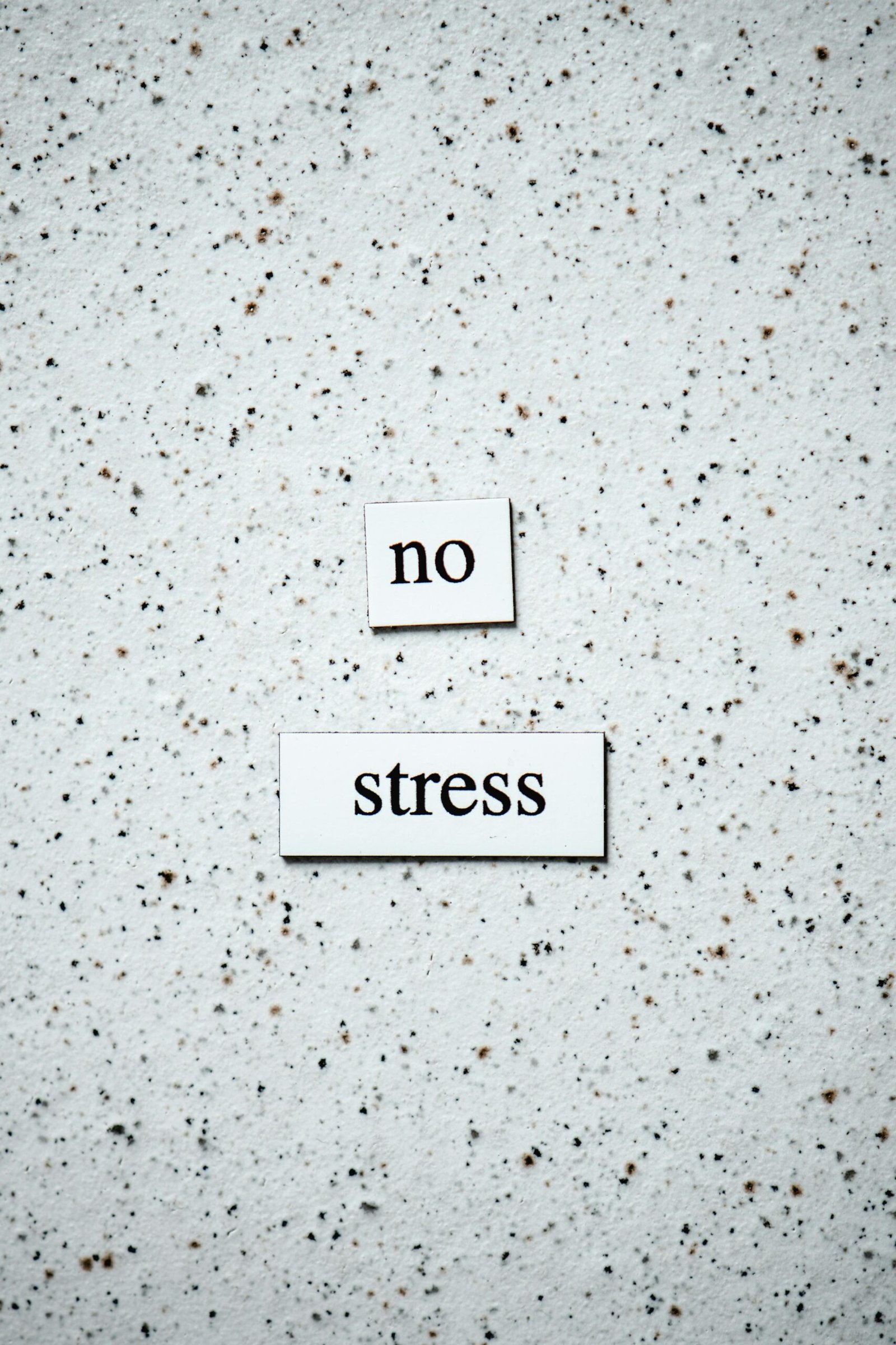 Minimalist text displaying 'no stress' on a textured speckled surface, promoting calmness.